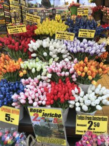 Flower Market in Amsterdam
