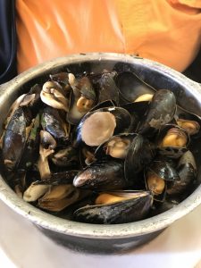 mussels in Belgium
