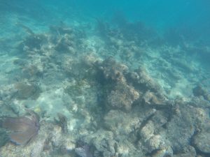 underwater in the BVIs